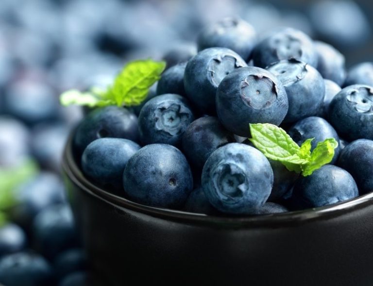 Shrub maison aux petits fruits