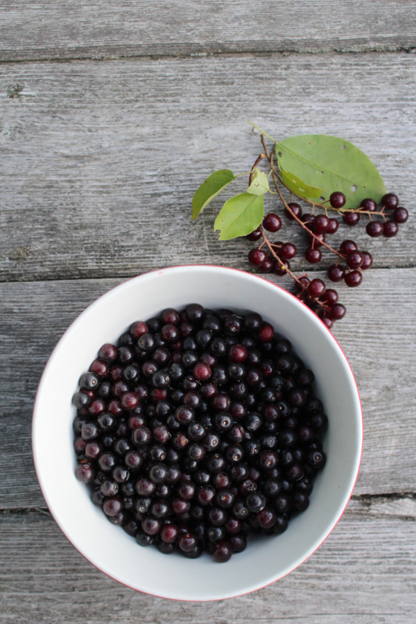 Sauce d'aronia pour gibier et fromage