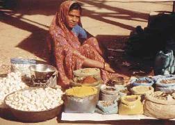 Gernot Katzer's Spice Pages