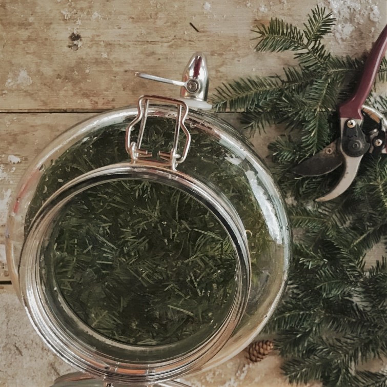 Recette d'eau de sapin