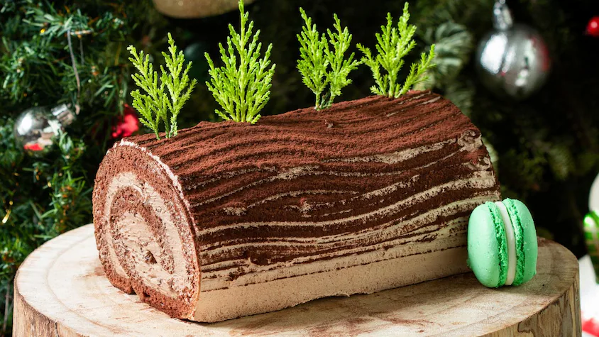 Bûche de Noël tiramisu