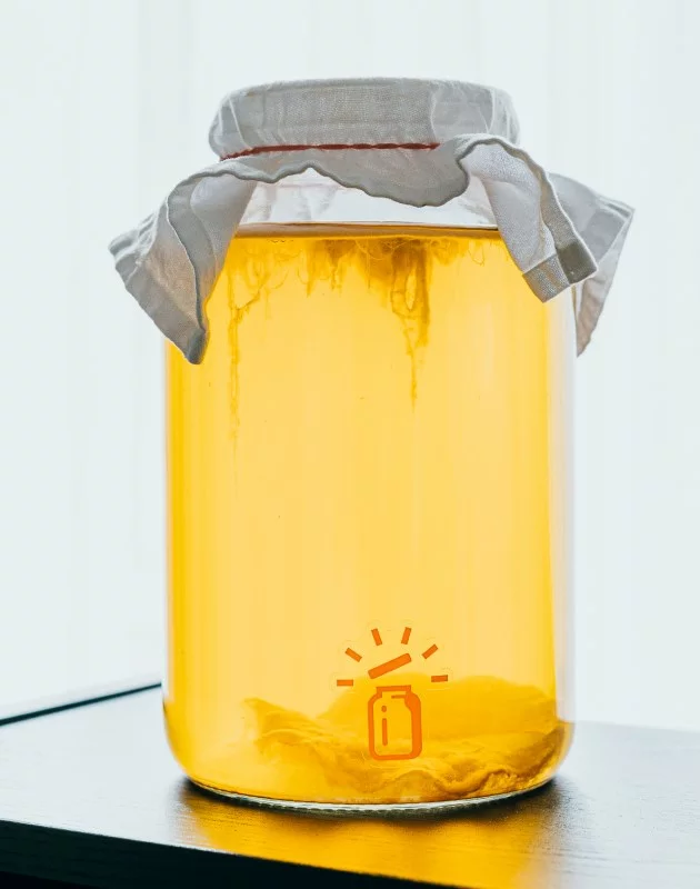 Comment fabriquer une mère de kombucha?