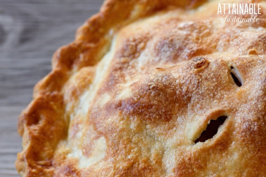 Grandma’s Pie Crust Recipe