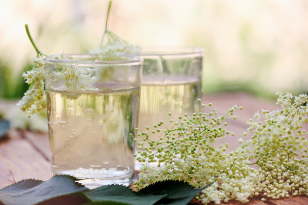 kvass de fleur de sureau