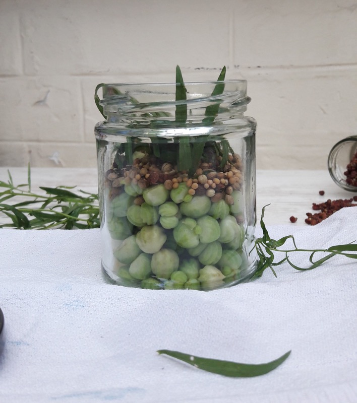 Câpres de capucines